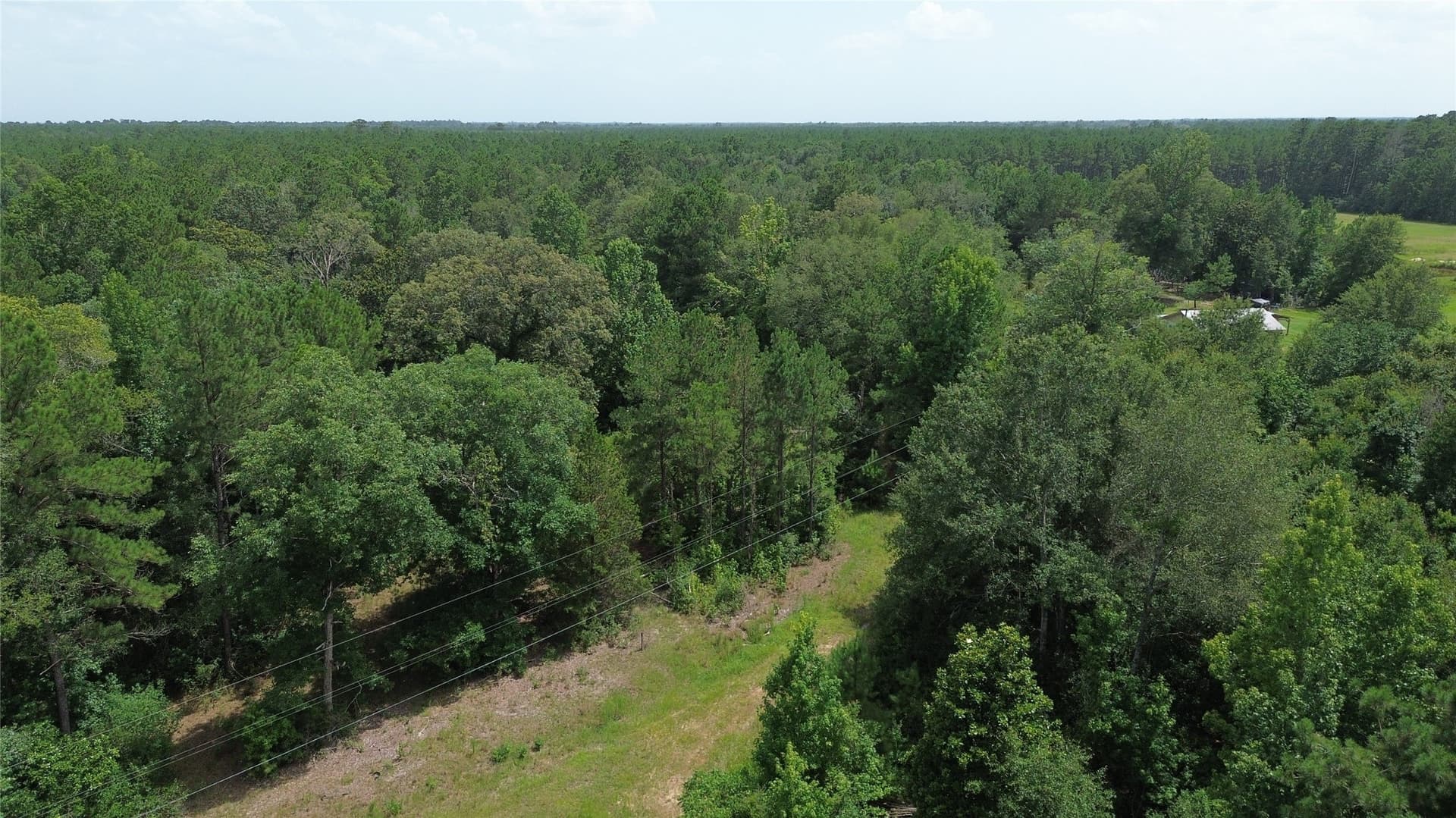 8 acres in Newton County - photo 9
