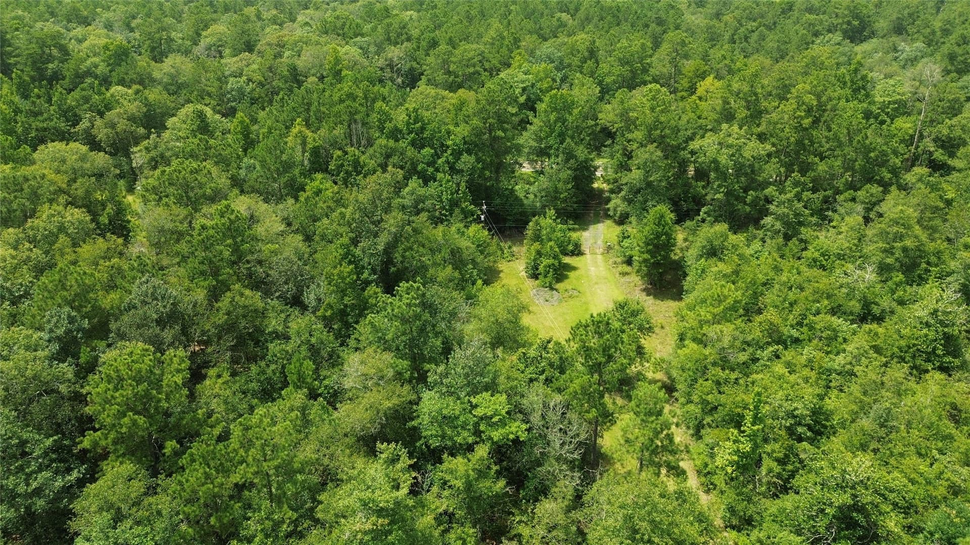8 acres in Newton County - photo 4