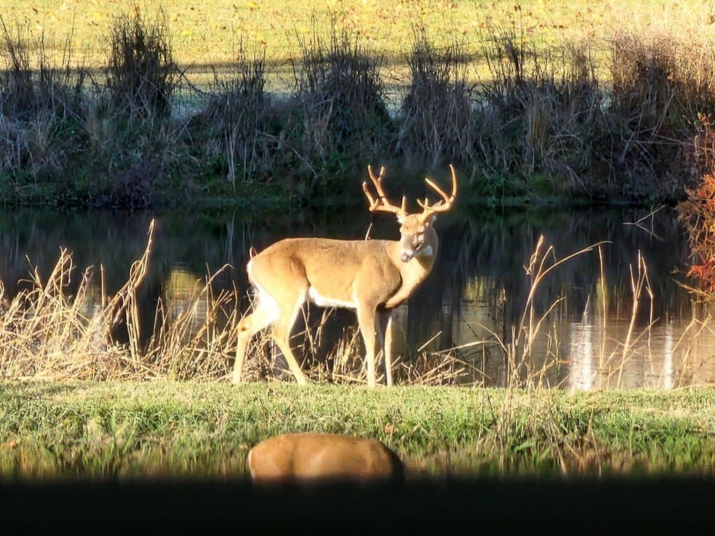 38 acres in ANDERSON County - photo 71