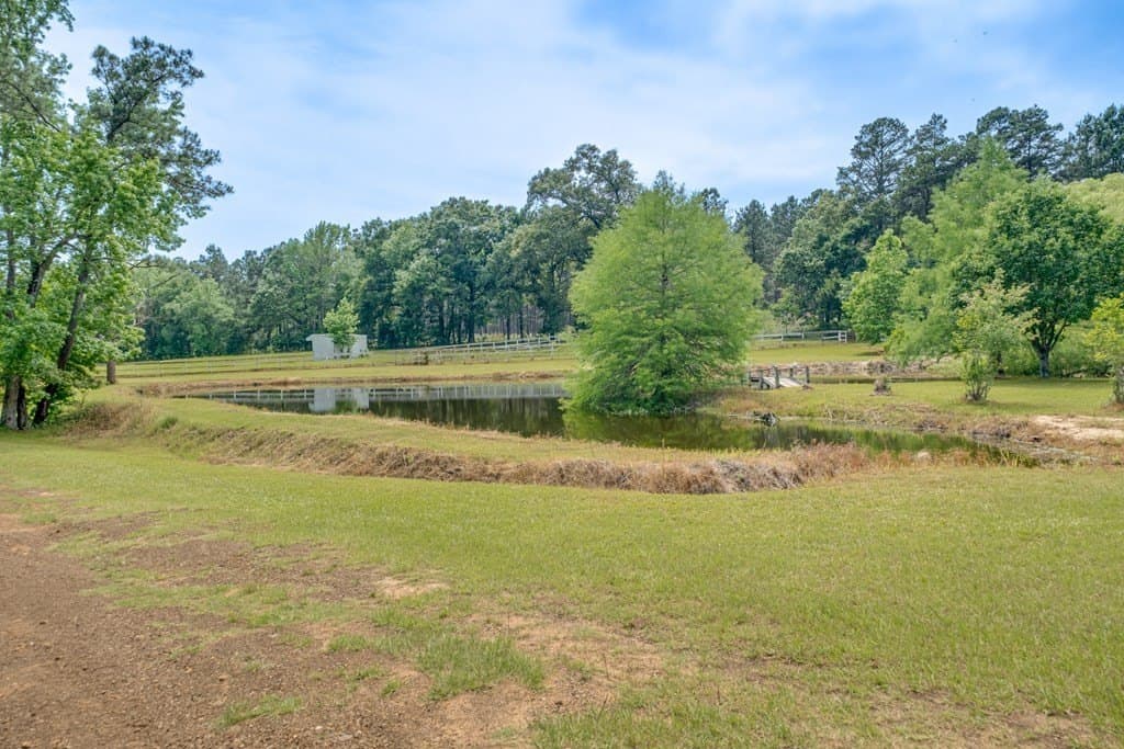 38 acres in ANDERSON County - photo 65