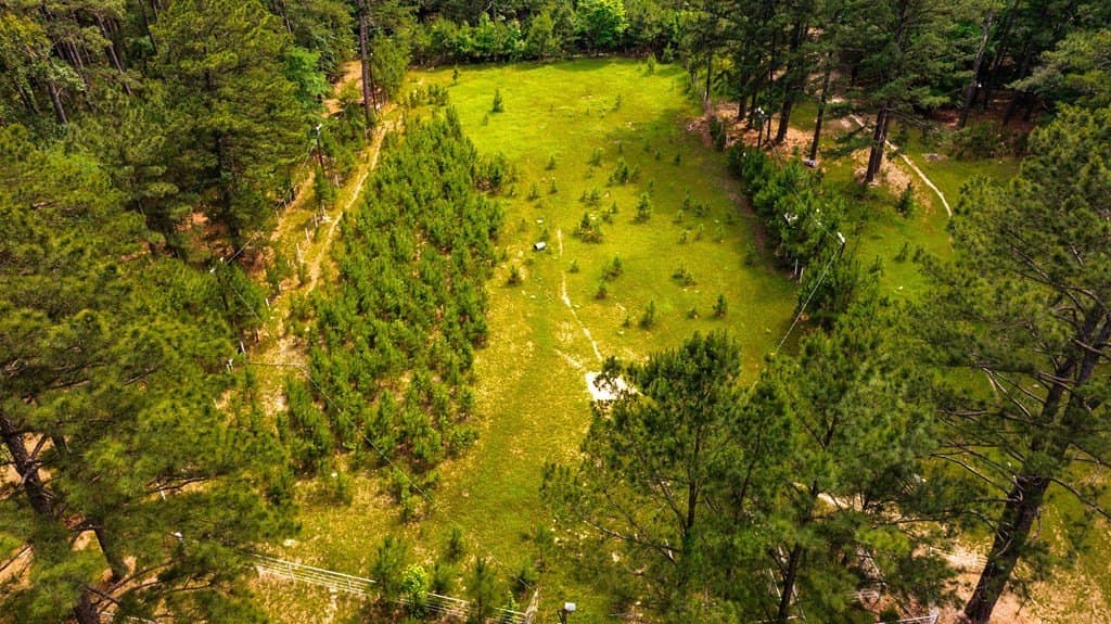 38 acres in ANDERSON County - photo 85
