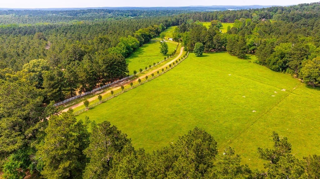 38 acres in ANDERSON County - photo 89