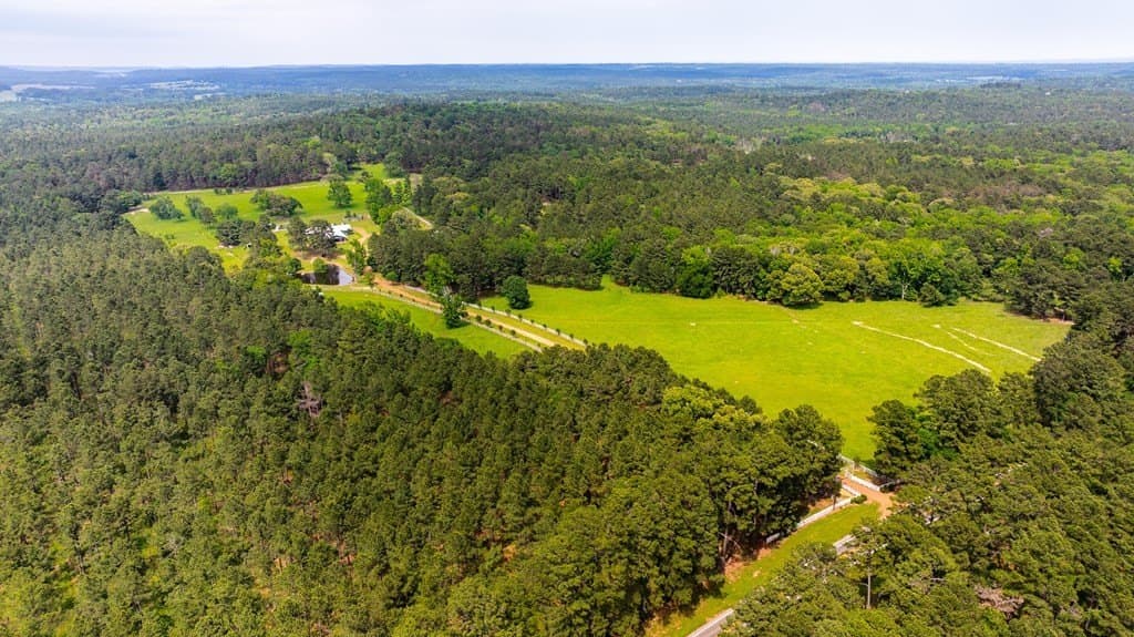 38 acres in ANDERSON County - photo 87