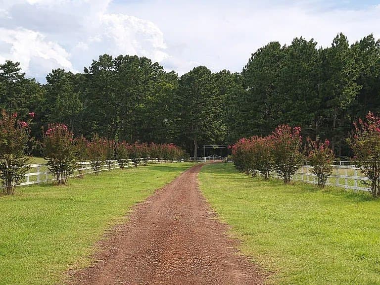 38 acres in ANDERSON County - photo 67