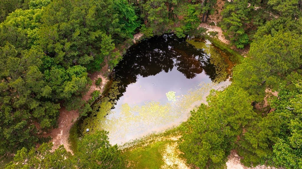 38 acres in ANDERSON County - photo 80