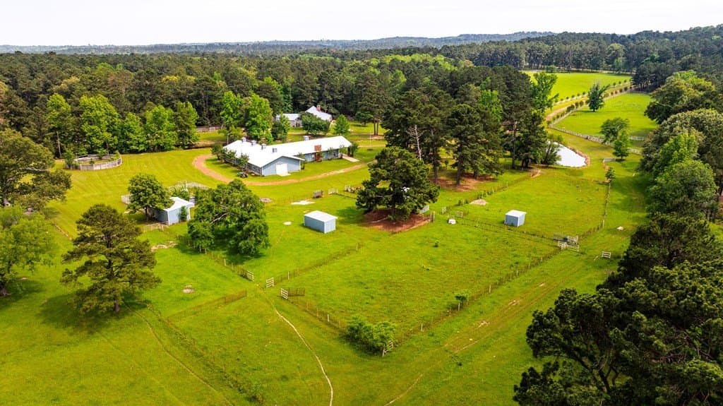 38 acres in ANDERSON County - photo 77