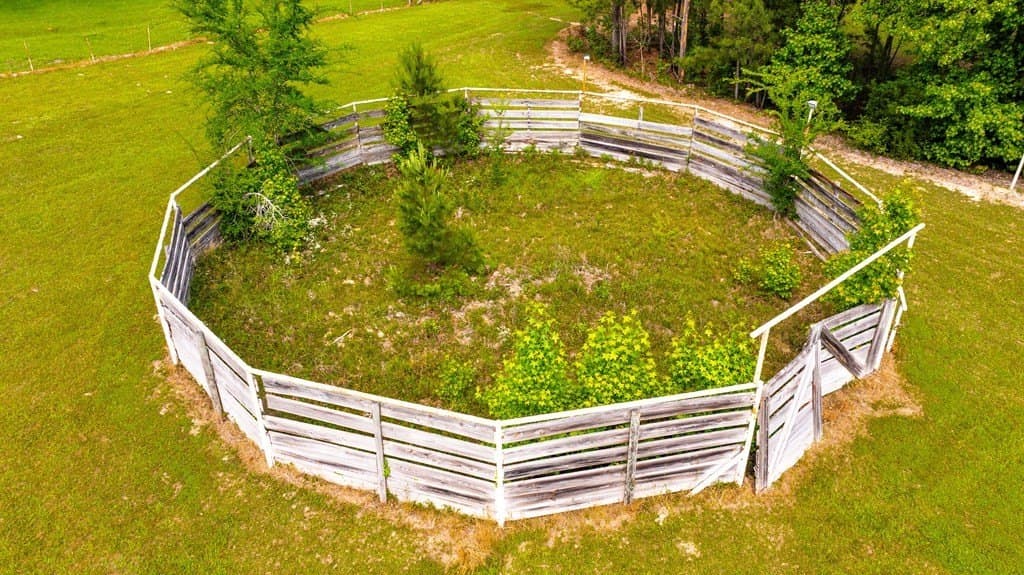 38 acres in ANDERSON County - photo 82