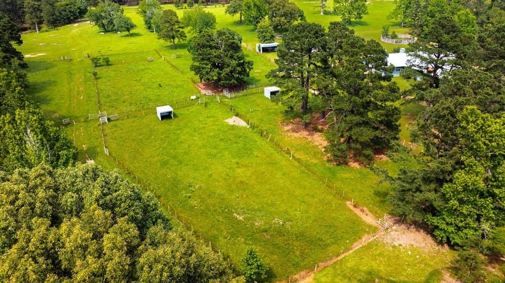 38 acres in ANDERSON County - photo 83