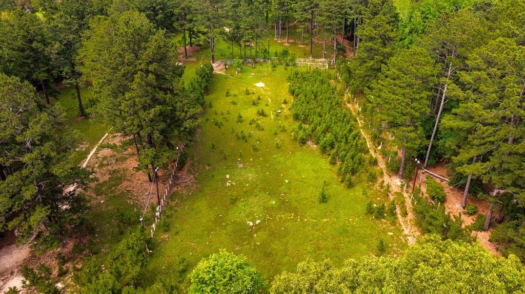 38 acres in ANDERSON County - photo 86