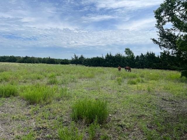 5 acres in Rockwall County gallery image 2