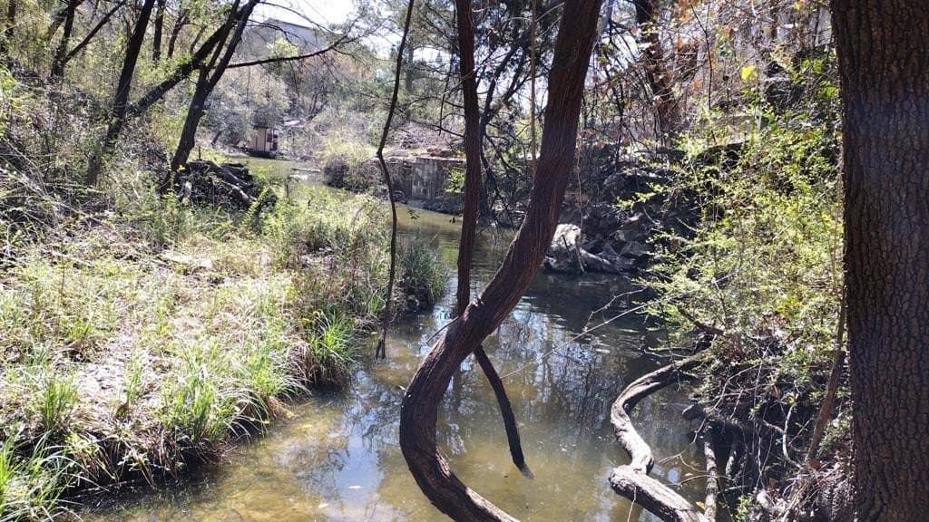 0.2 acres in Hood County gallery image 2