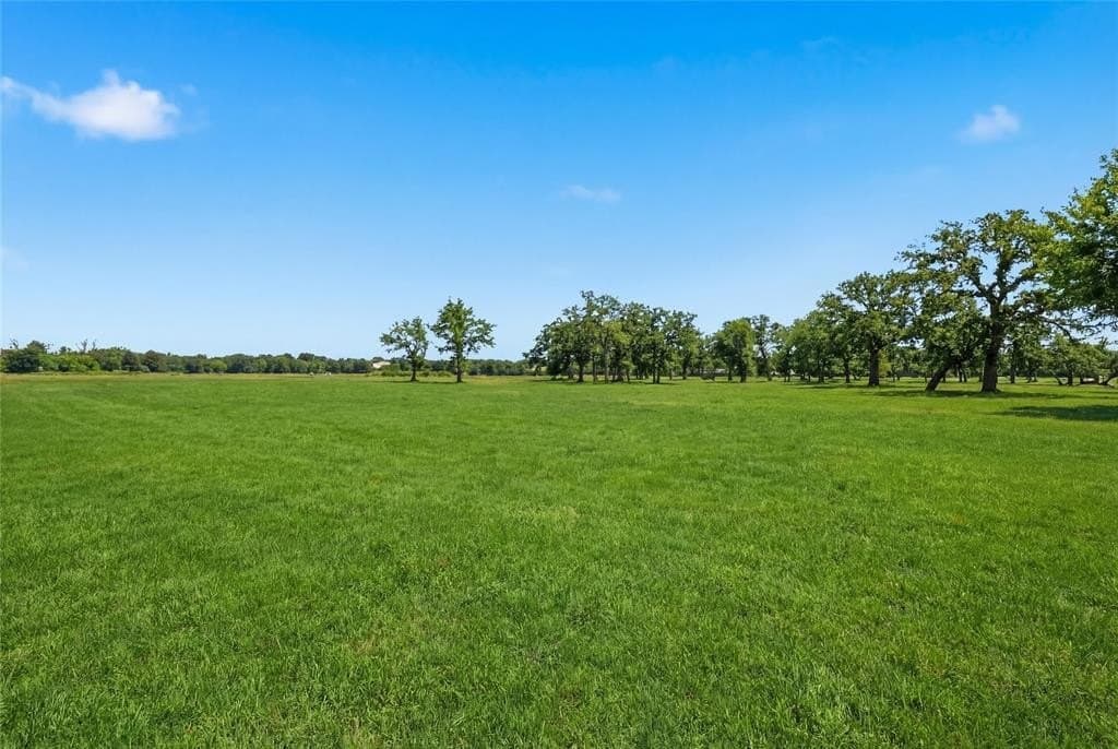 1 acres in Denton County gallery image 4