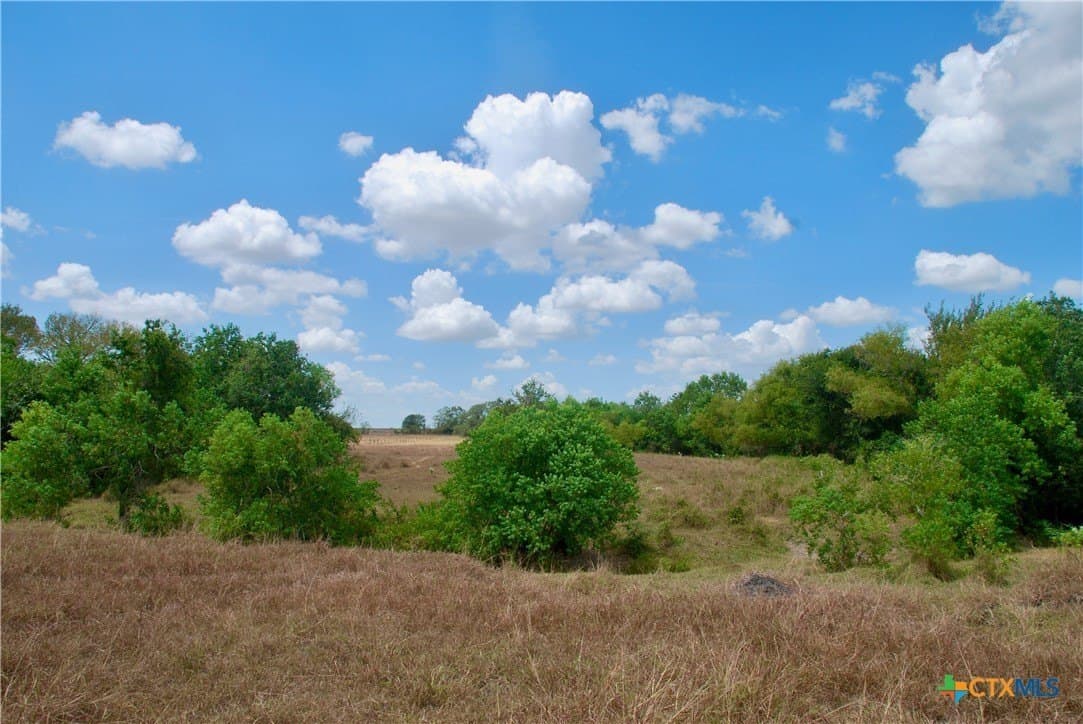 15.08 acres in Lavaca County - photo 21