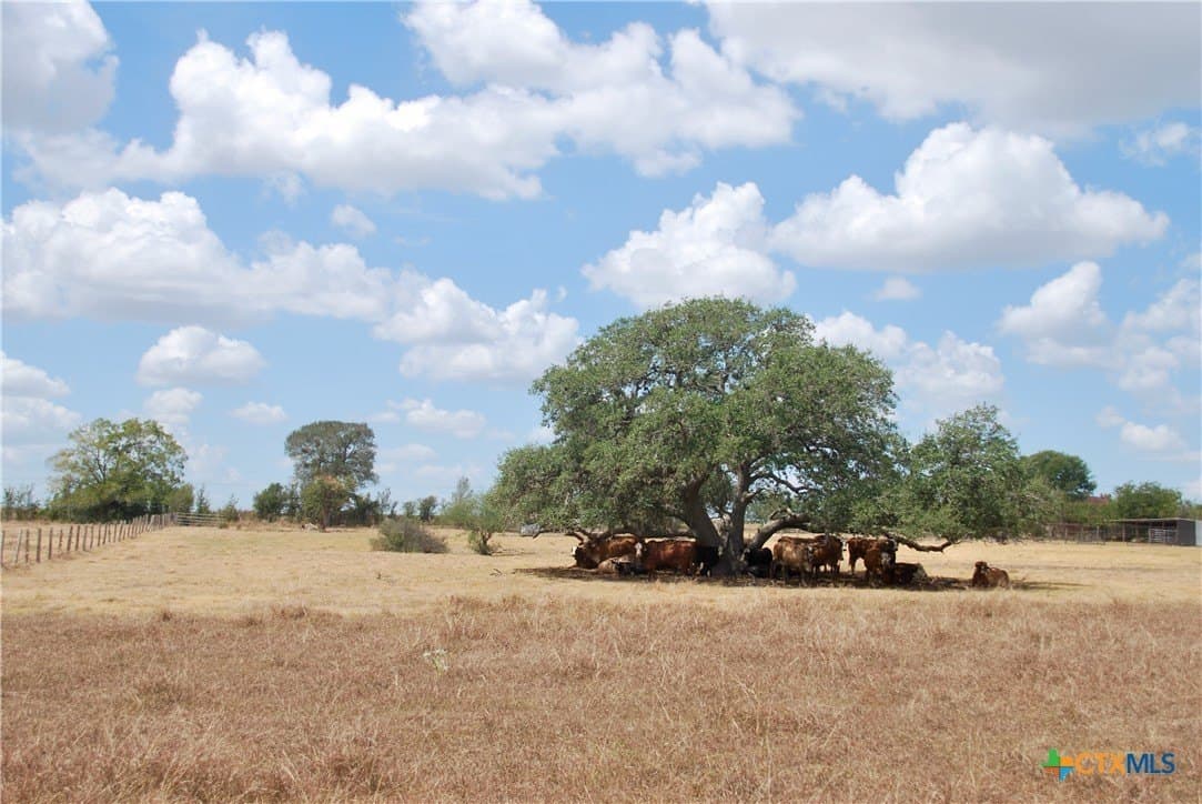 15.08 acres in Lavaca County - photo 31