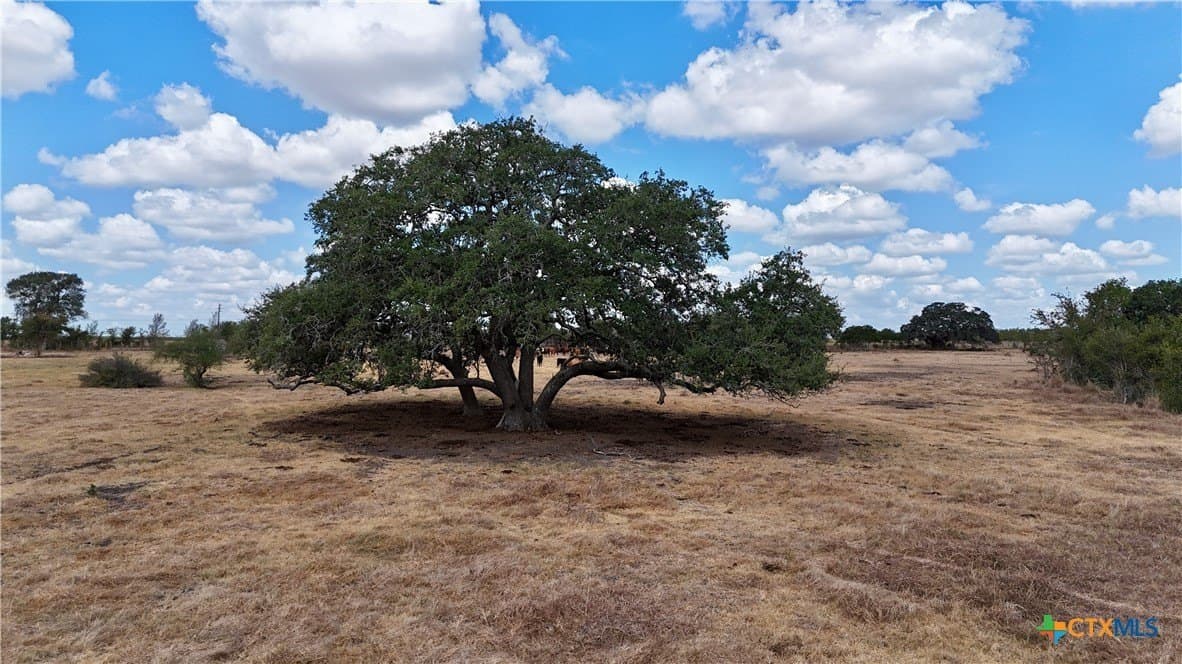 15.08 acres in Lavaca County - photo 2