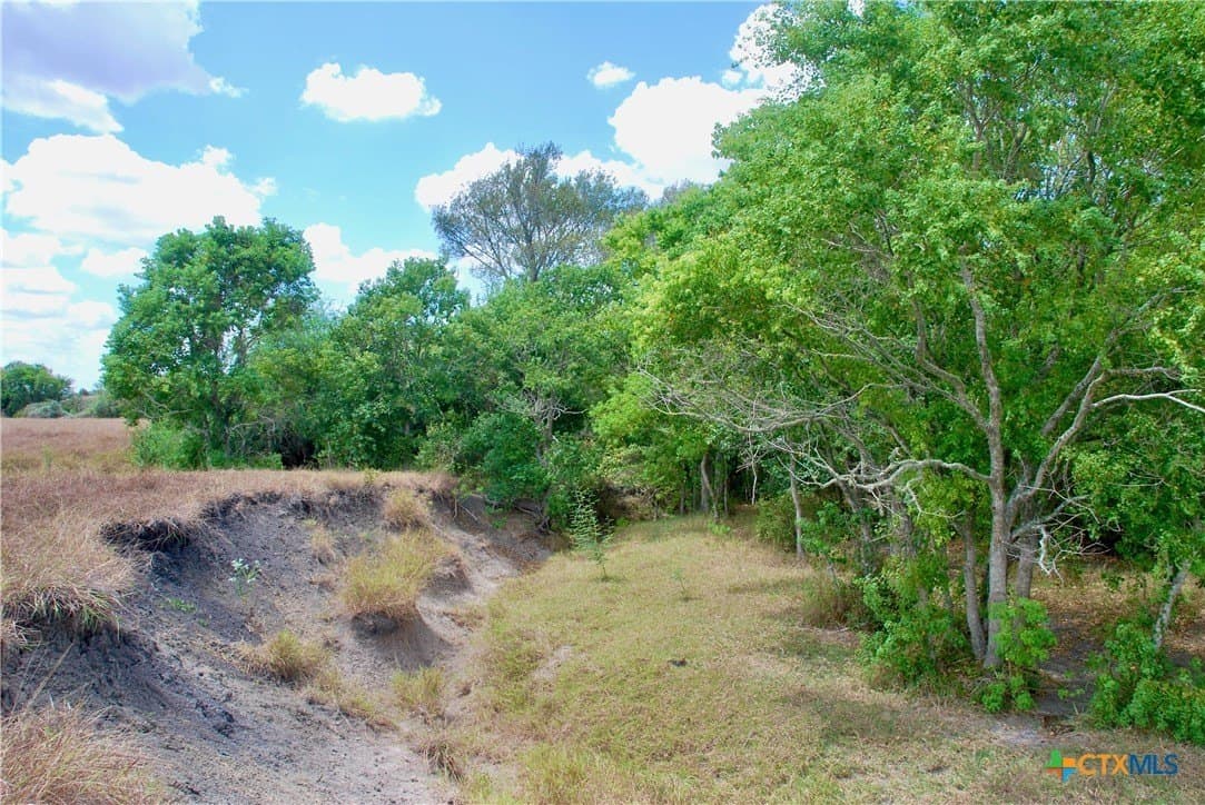 15.08 acres in Lavaca County - photo 19