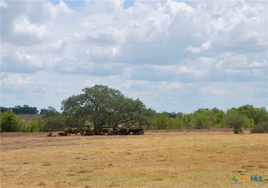 15.08 acres in Lavaca County - photo 3