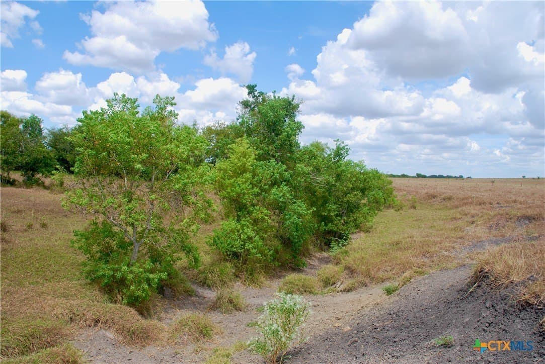 15.08 acres in Lavaca County - photo 23