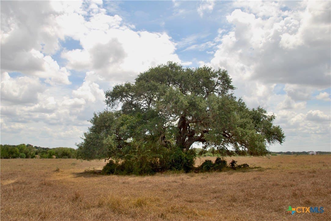 15.08 acres in Lavaca County - photo 15