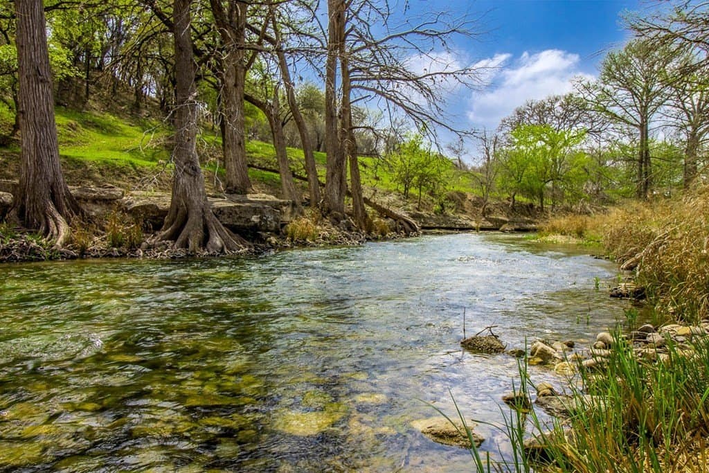 54.79 acres in Kerr County gallery image 3