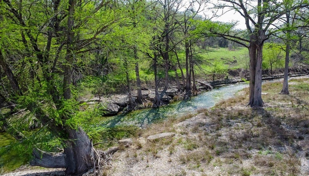 54.79 acres in Kerr County gallery image 4