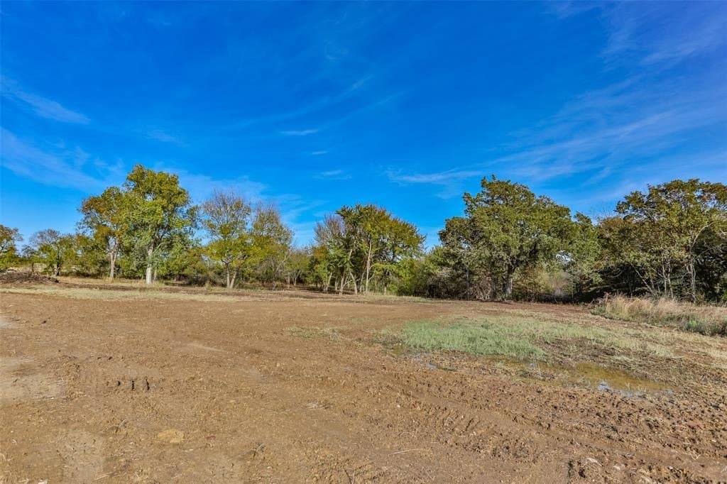 10.3 acres in Cooke County gallery image 4
