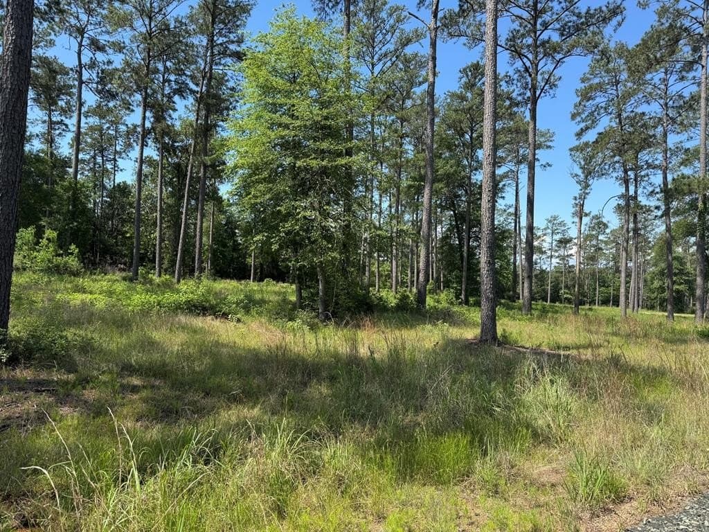1.01 acres in Texas County - photo 9