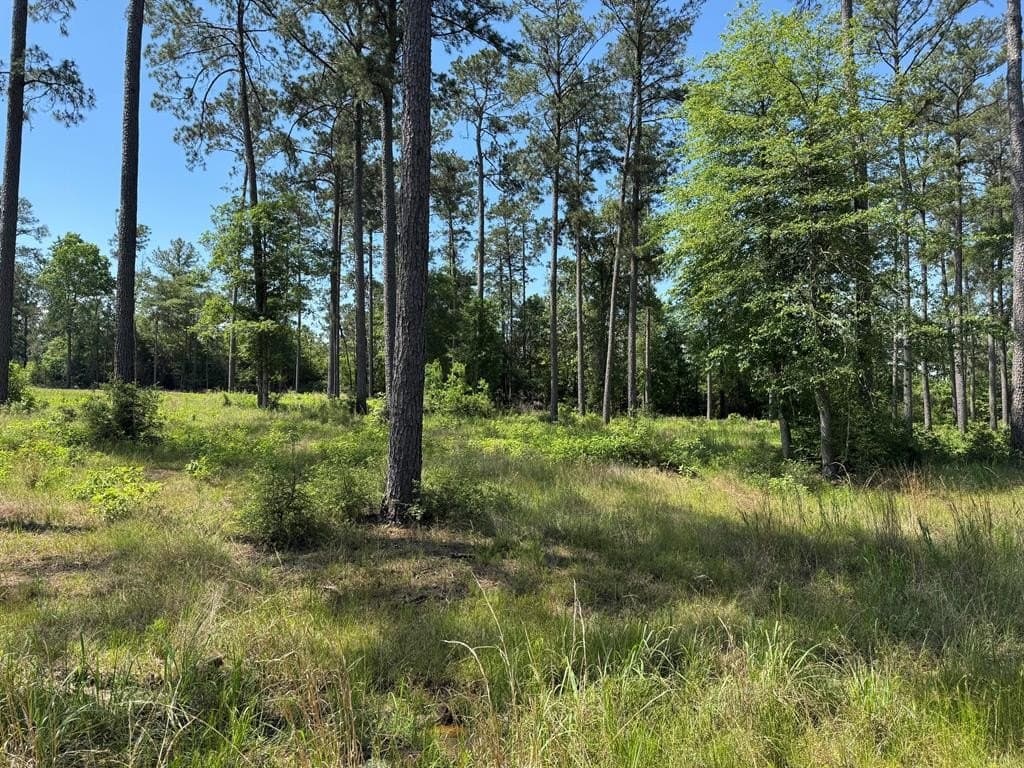 1.01 acres in Texas County gallery image 3