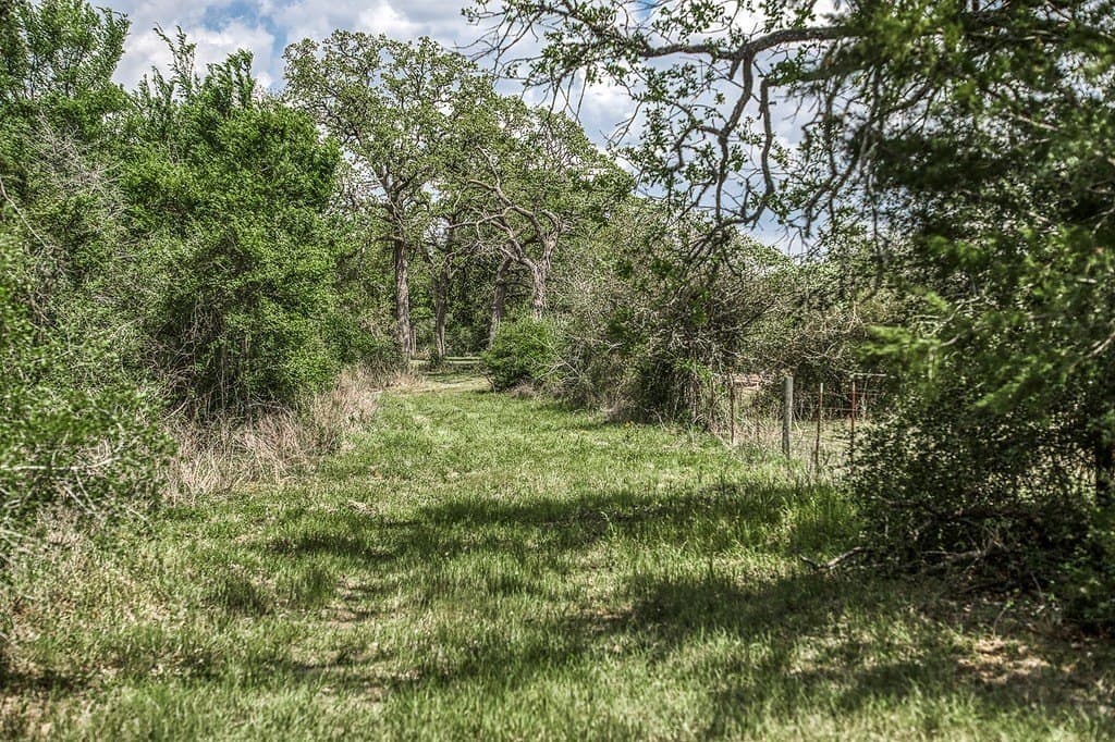 22.5 acres in Washington County featured view