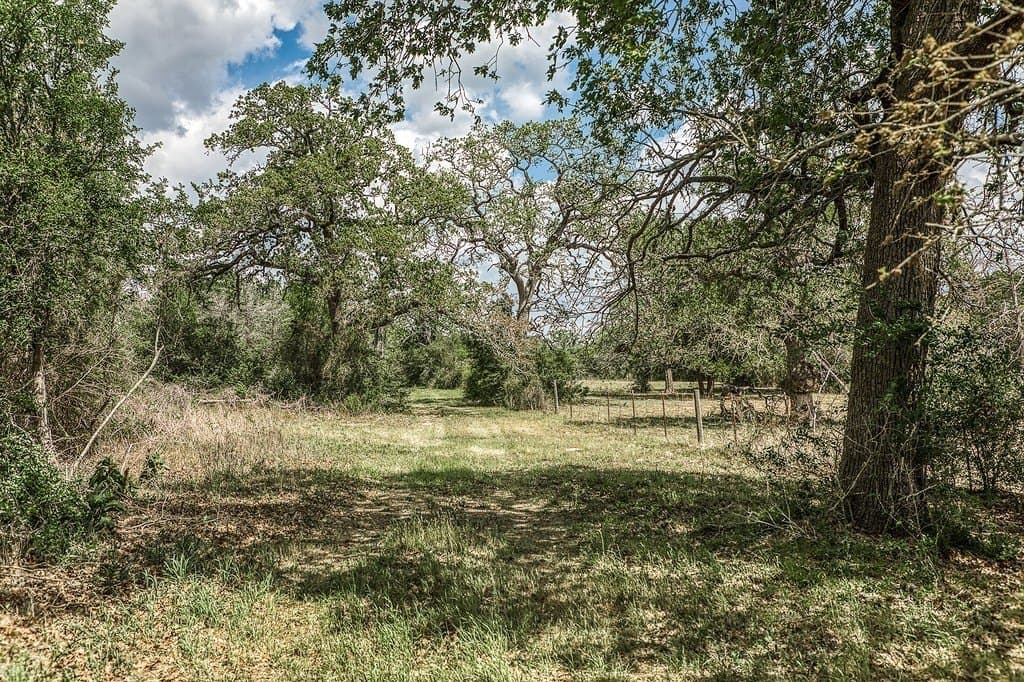 22.5 acres in Washington County gallery image 4