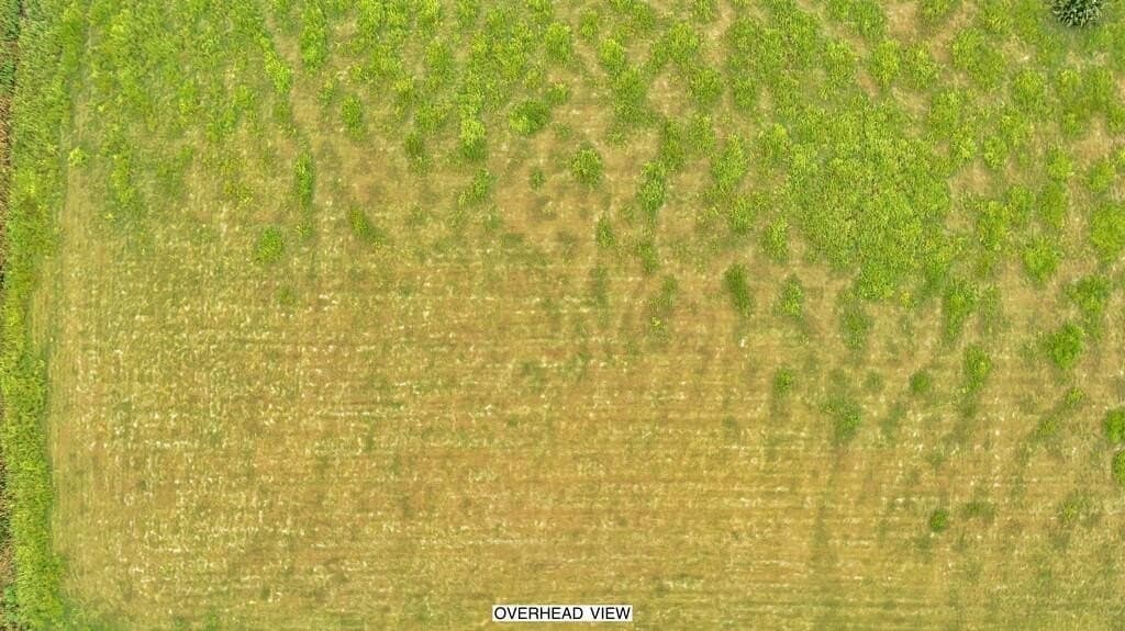 4.83 acres in McLennan County featured view