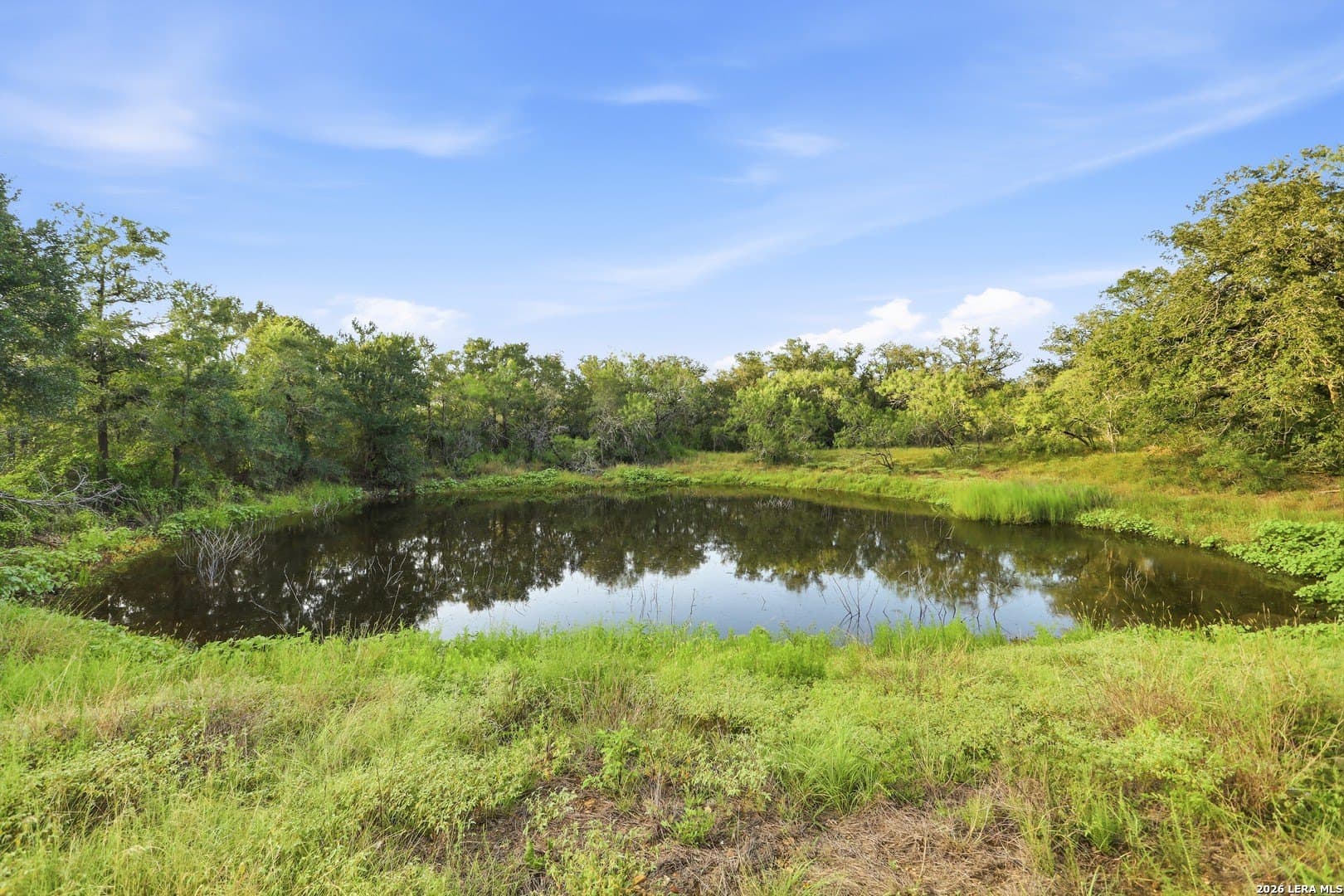 10.2 acres in Guadalupe County - photo 46