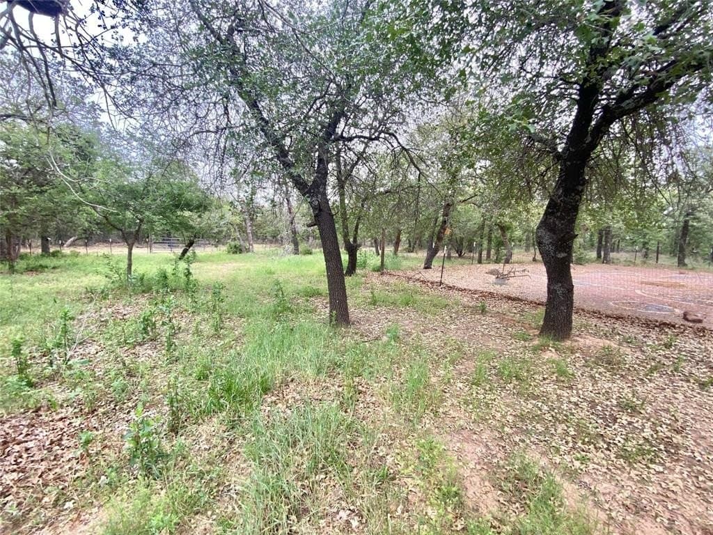 46.64 acres in Callahan County gallery image 2