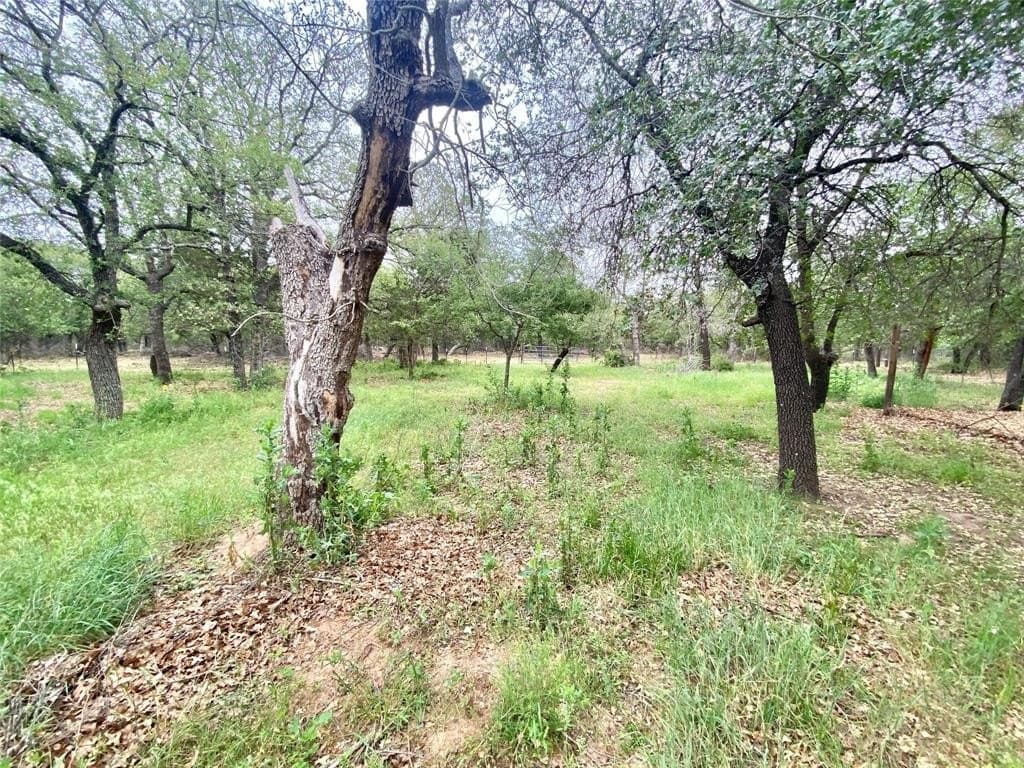 46.64 acres in Callahan County gallery image 4