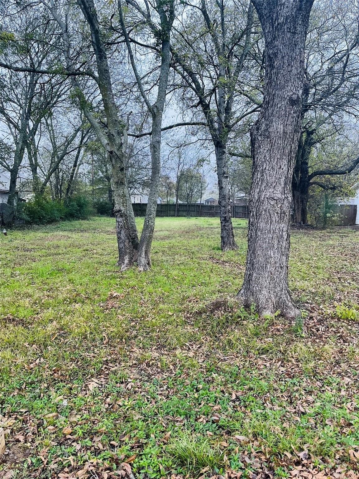 0.17 acres in Rains County gallery image 4