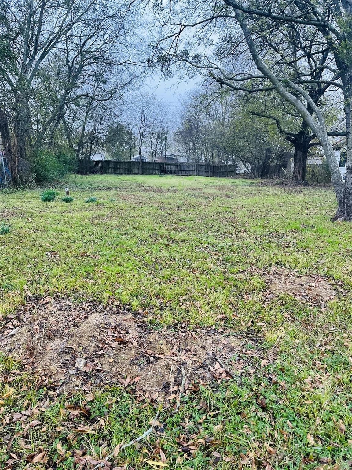 0.17 acres in Rains County gallery image 3