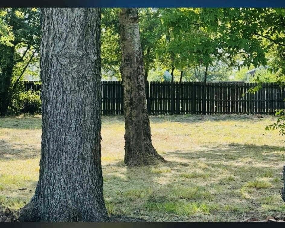 0.17 acres in Rains County