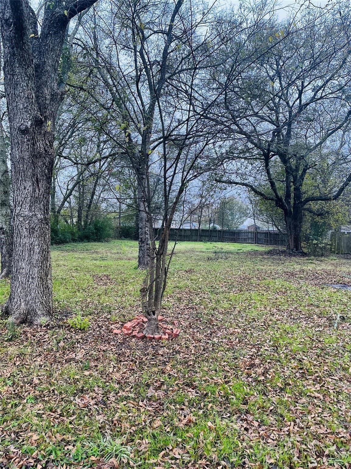 0.17 acres in Rains County gallery image 2