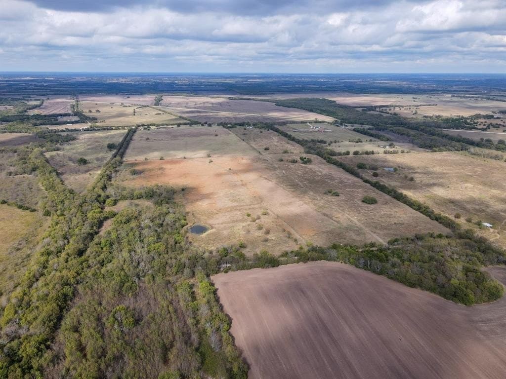 61 acres in Fannin County gallery image 4