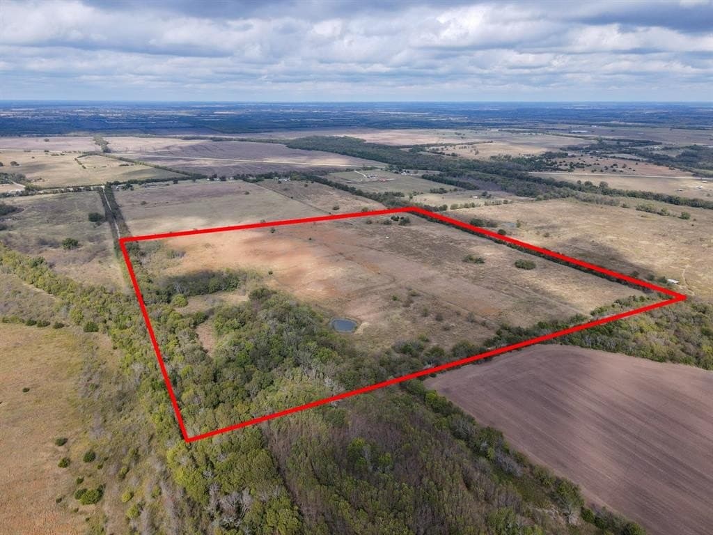 61 acres in Fannin County gallery image 3