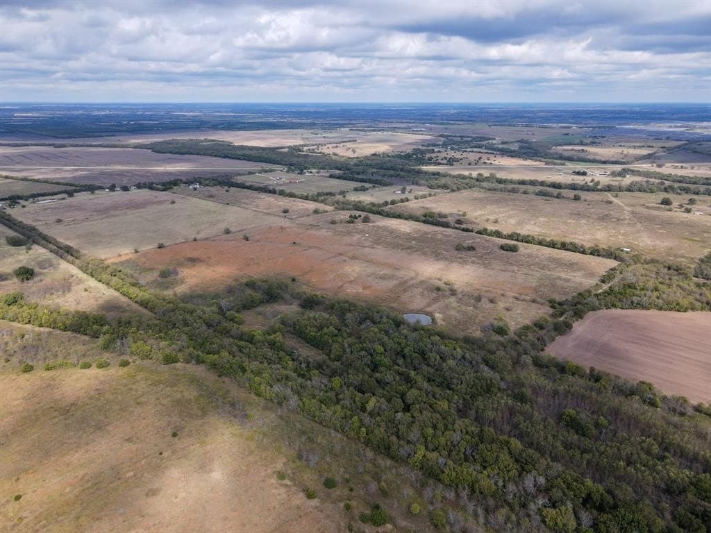 61 acres in Fannin County gallery image 2