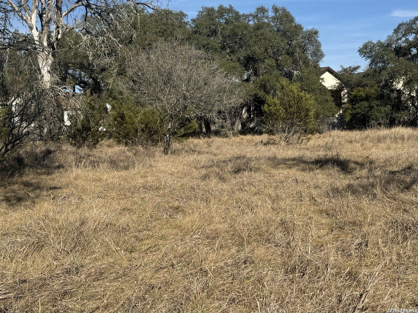0.35 acres in Blanco County - photo 8