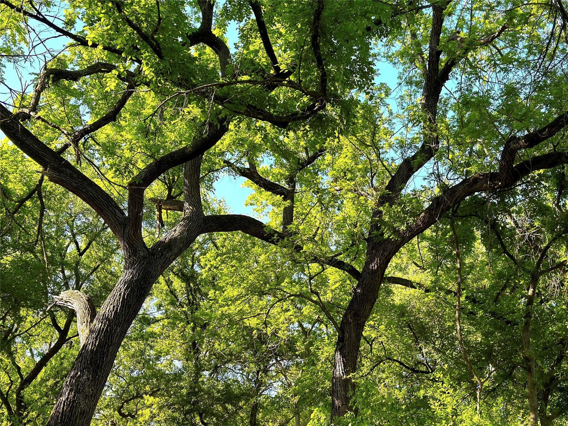 2.72 acres in McLennan County - photo 15