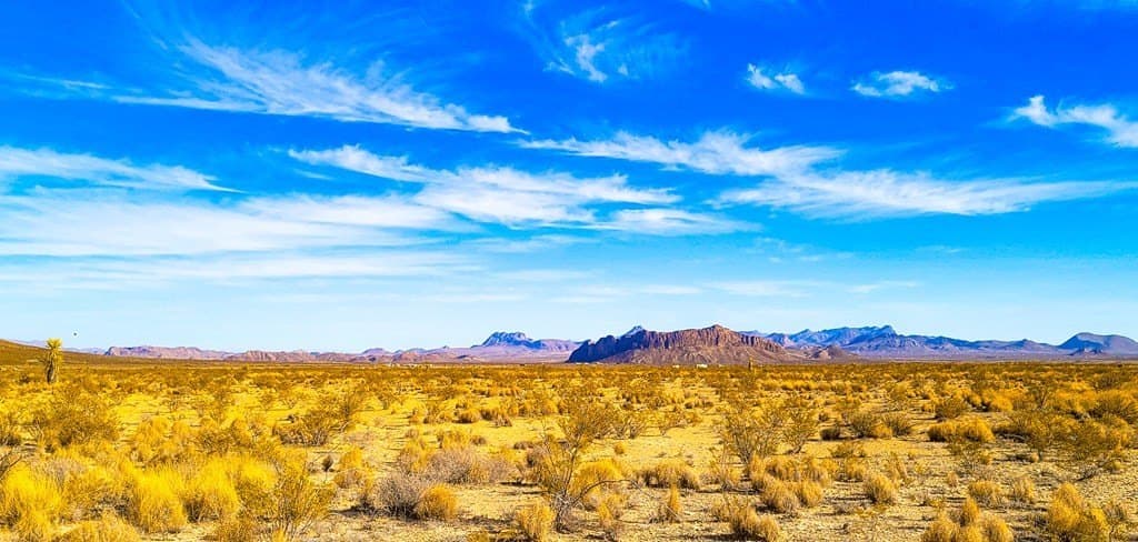 10 acres in Brewster County featured view