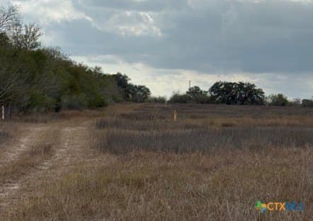 57.13 acres in Karnes County featured view