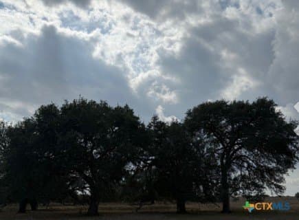 57.13 acres in Karnes County gallery image 2