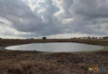 57.13 acres in Karnes County gallery image 3