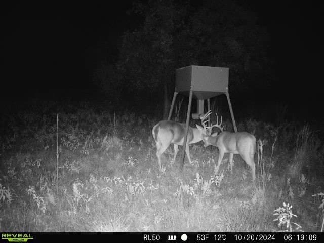 92 acres in Eastland County - photo 38
