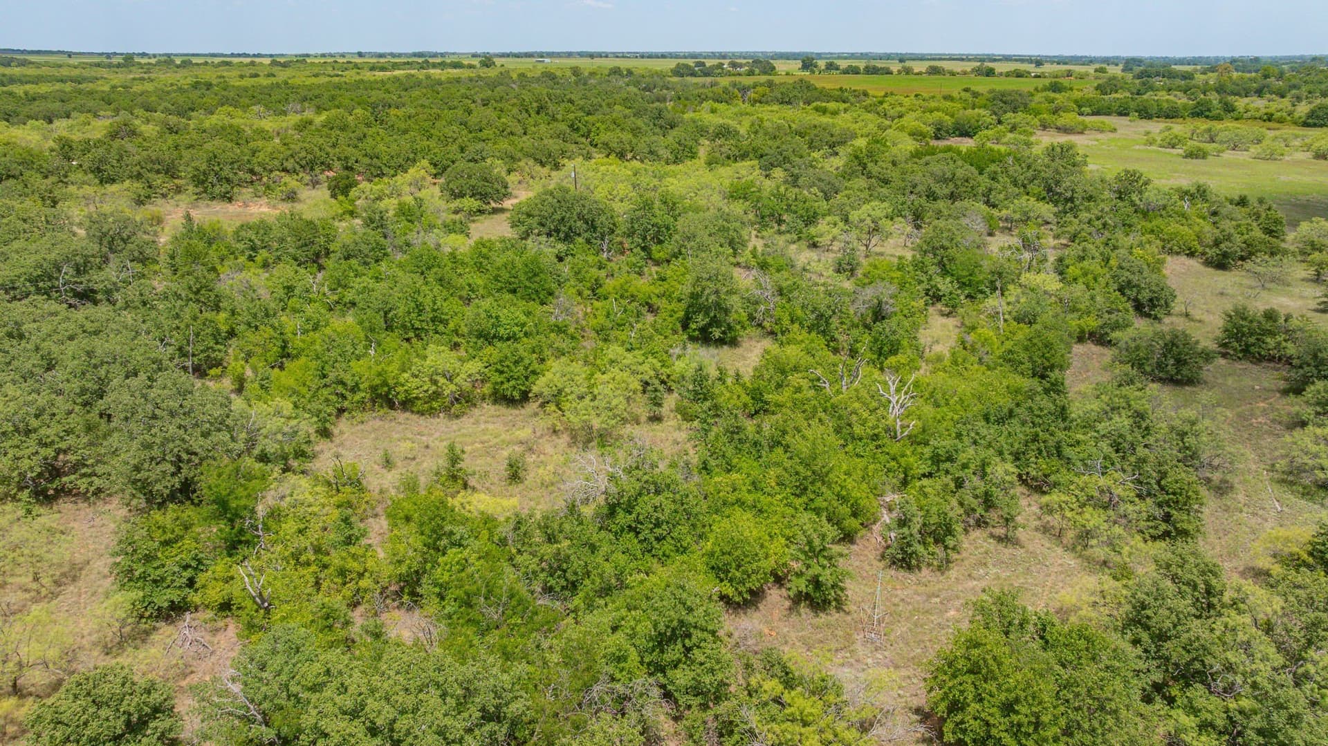 92 acres in Eastland County - photo 9