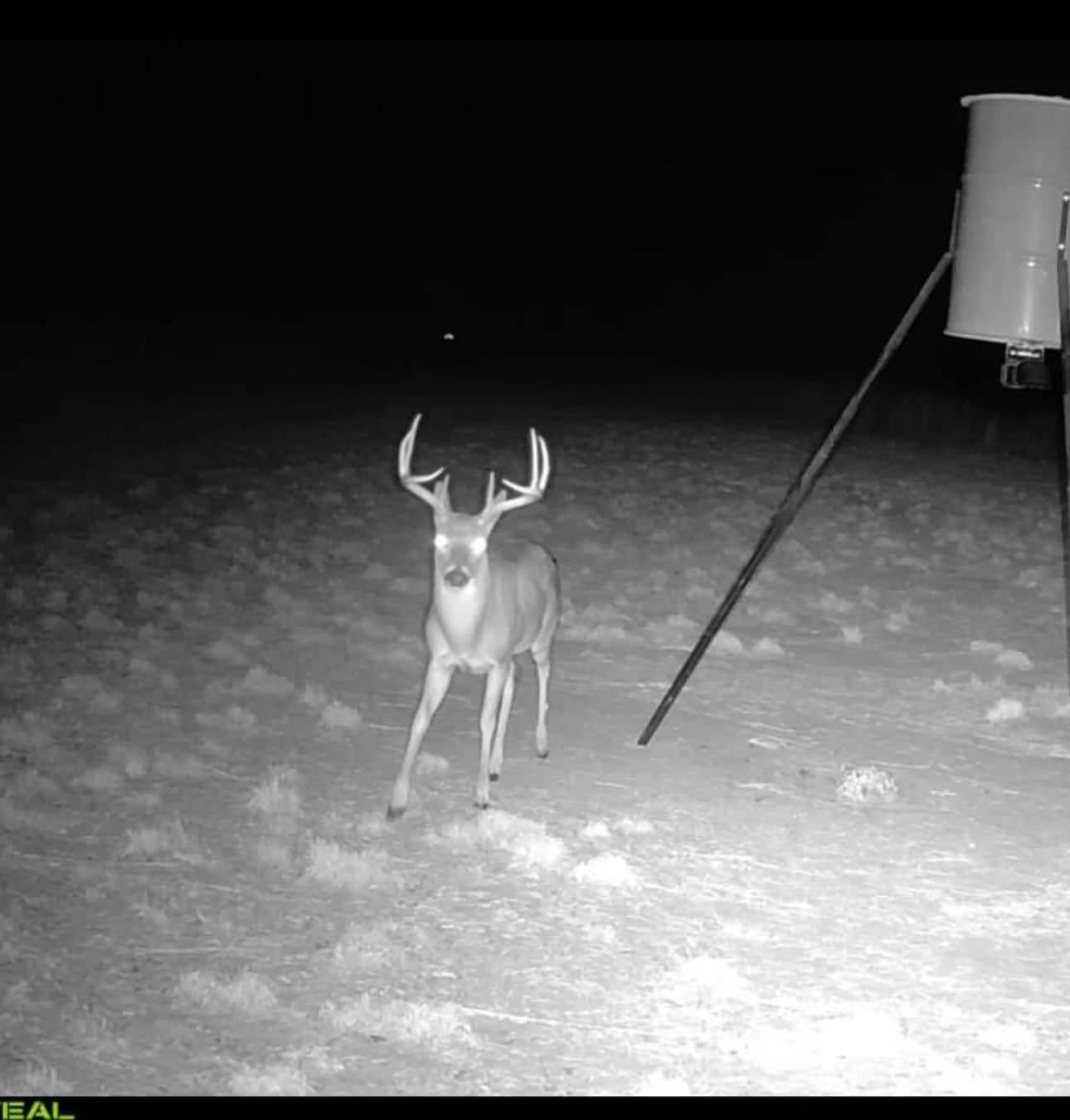 92 acres in Eastland County - photo 37